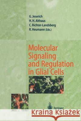 Molecular Signaling and Regulation in Glial Cells: A Key to Remyelination and Functional Repair Jeserich, Gunnar 9783642645013 Springer - książka