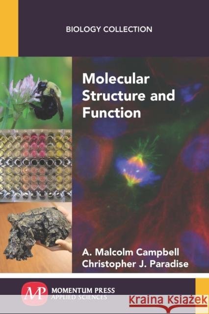 Molecular Structure and Function A. Malcolm Campbell Christopher J. Paradise 9781944749057 Momentum Press - książka