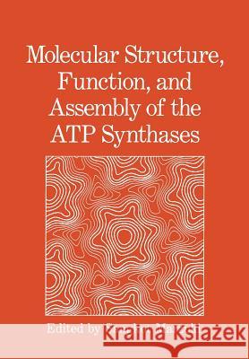 Molecular Structure, Function, and Assembly of the Atp Synthases: International Seminar Marzuki, Sangkot 9781461278825 Springer - książka