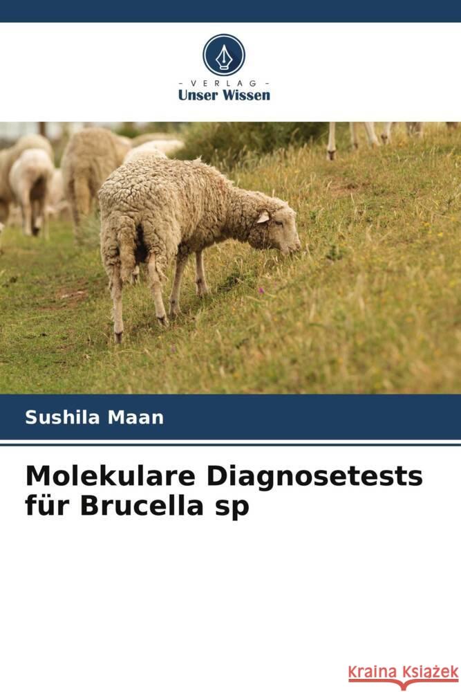 Molekulare Diagnosetests für Brucella sp Maan, Sushila 9786205447765 Verlag Unser Wissen - książka