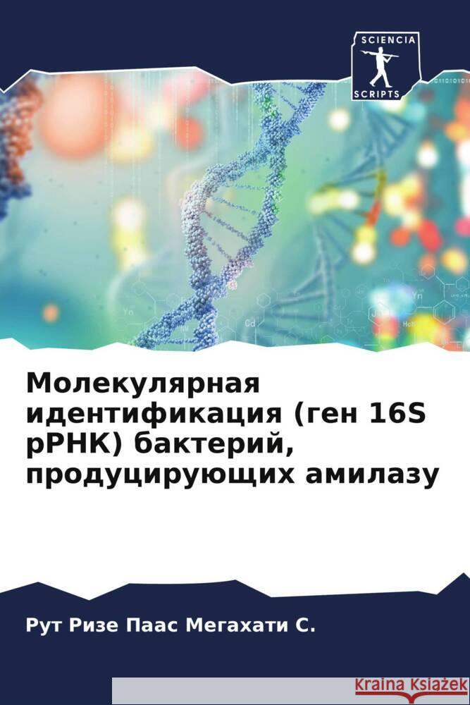 Molekulqrnaq identifikaciq (gen 16S rRNK) bakterij, produciruüschih amilazu Megahati S., Rut Rize Paas 9786205419335 Sciencia Scripts - książka