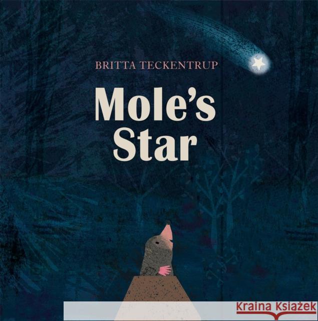 Mole's Star Teckentrup, Britta 9781408342831 Hachette Children's Group - książka