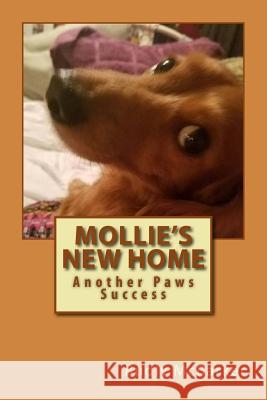 Mollie's New Home: Another Paws Success Budly McBarker 9781986878920 Createspace Independent Publishing Platform - książka