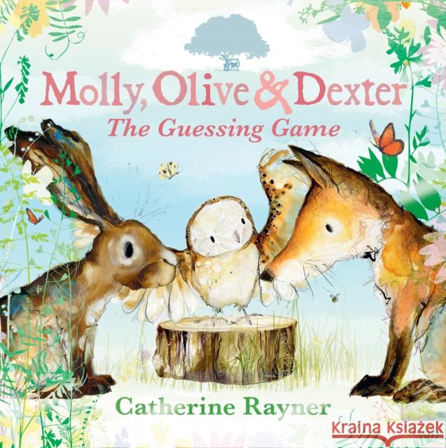 Molly, Olive and Dexter: The Guessing Game Catherine Rayner 9781529501544 Walker Books Ltd - książka