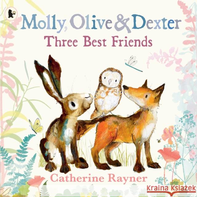 Molly, Olive and Dexter: Three Best Friends Catherine Rayner 9781529517569 Walker Books Ltd - książka