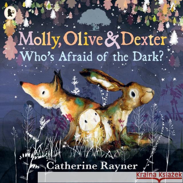 Molly, Olive and Dexter: Who's Afraid of the Dark? Catherine Rayner 9781529523164 Walker Books Ltd - książka