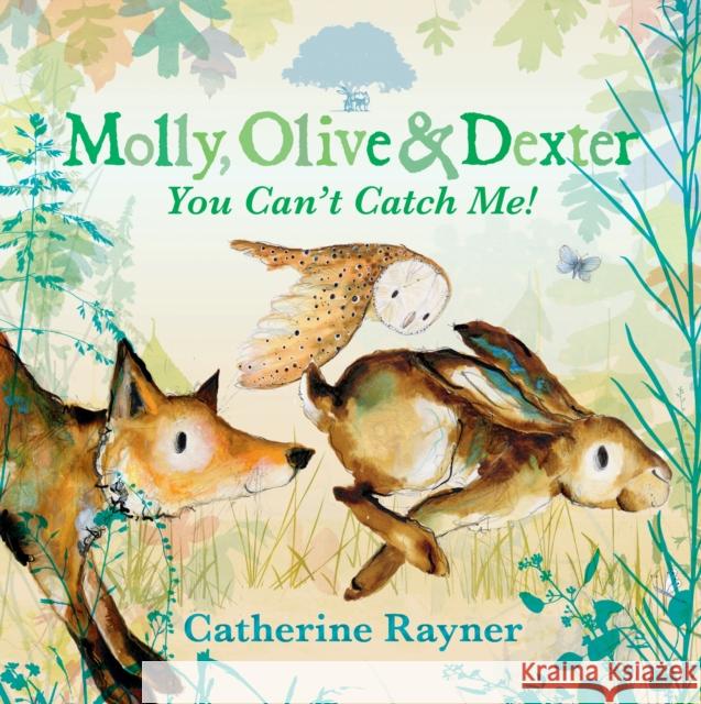 Molly, Olive and Dexter: You Can't Catch Me! Catherine Rayner 9781529501551 Walker Books Ltd - książka