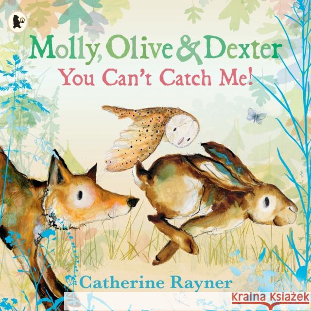 Molly, Olive and Dexter: You Can't Catch Me! Catherine Rayner 9781529523157 Walker Books Ltd - książka