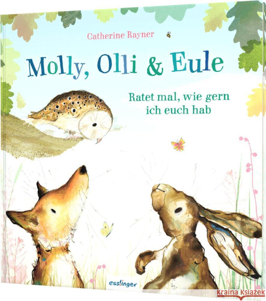 Molly, Olli & Eule 2: Molly, Olli & Eule Rayner, Catherine 9783480239009 Esslinger in der Thienemann-Esslinger Verlag  - książka