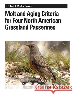 Molt and Aging Criteria for Four North American Grassland Passerines Peter Pyle Stephanie L. Jones Janet M. Ruth 9781479135493 Createspace - książka