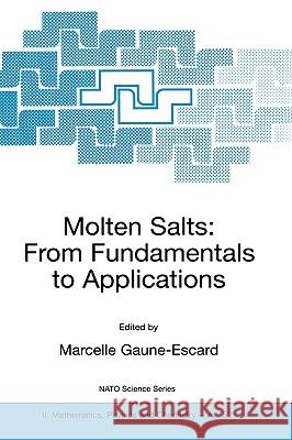 Molten Salts: From Fundamentals to Applications Gaune-Escard, Marcelle 9781402004599 Springer - książka