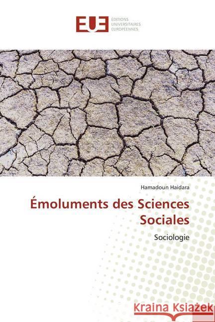 Émoluments des Sciences Sociales : Sociologie Haidara, Hamadoun 9786138460572 Éditions universitaires européennes - książka