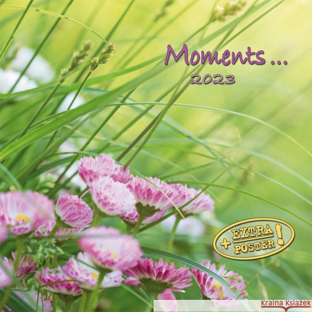 Moments 2023  9783959291330 Tushita - książka