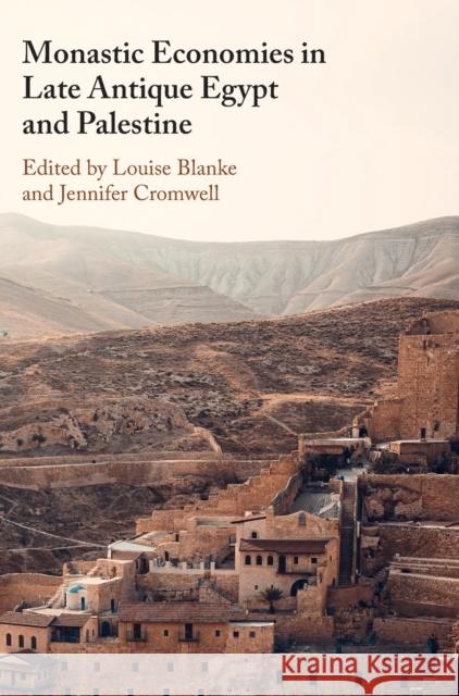 Monastic Economies in Late Antique Egypt and Palestine  9781009278973 Cambridge University Press - książka