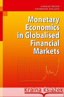 Monetary Economics in Globalised Financial Markets Ansgar Belke Thorsten Polleit 9783642146381 Not Avail - książka