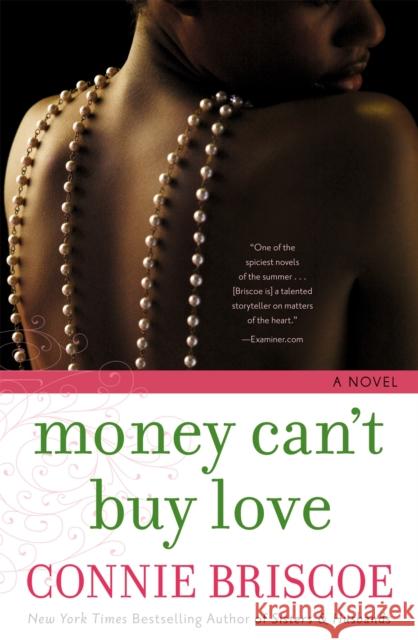 Money Can't Buy Love Connie Briscoe 9780446534833  - książka
