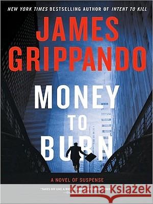 Money to Burn: A Novel of Suspense James Grippando 9780061946226 Harperluxe - książka