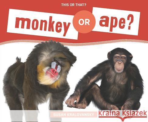 Monkey or Ape? Susan Holt Kralovansky 9781624032875 Super Sandcastle - książka