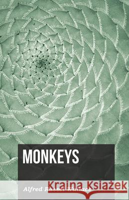 Monkeys Alfred Russel Wallace 9781473329652 Read Books - książka