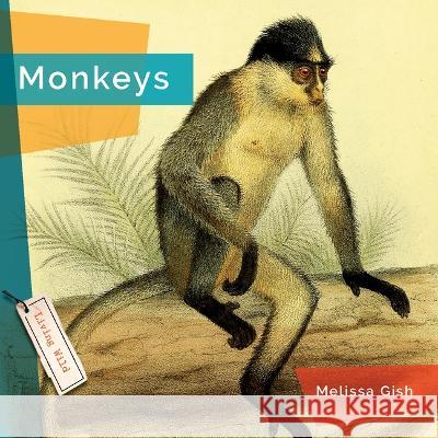 Monkeys Melissa Gish 9781682770825 Creative Paperbacks - książka