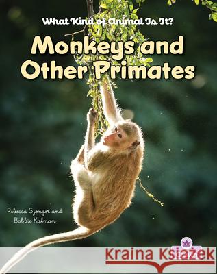 Monkeys and Other Primates Kelley MacAulay Bobbie Kalman 9781039873216 Crabtree Crown - książka