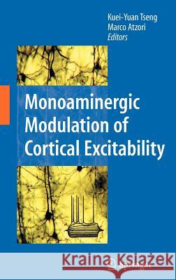 Monoaminergic Modulation of Cortical Excitability Kuei-Yuan Tseng Marco Atzori 9780387722542 Springer - książka