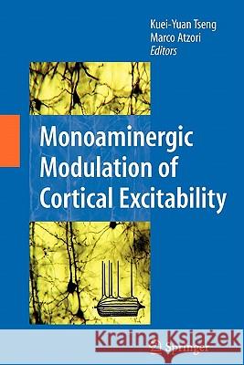 Monoaminergic Modulation of Cortical Excitability Kuei-Yuan Tseng Marco Atzori 9781441944283 Springer - książka