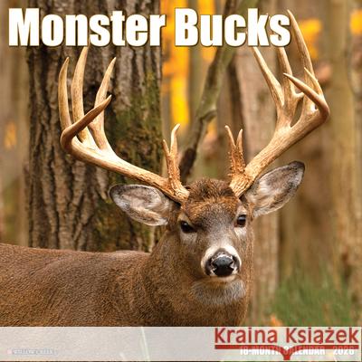 Monster Bucks 2026 12 X 12 Wall Calendar Willow Creek Press 9781549251993 Willow Creek Press Calendars - książka