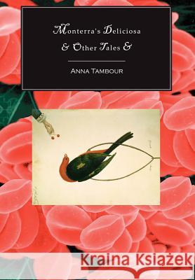 Monterra's Deliciosa & Other Tales & Anna Tambour Keith Brooke 9781894815949 Prime Books - książka