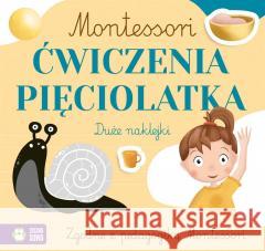 Montessori. Ćwiczenia pięciolatka Zuzanna Osuchowska, Zuzanna Pacholska-Rączka 9788382406269 Zielona Sowa - książka