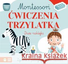 Montessori. Ćwiczenia trzylatka Zuzanna Osuchowska, Zuzanna Pacholska-Rączka 9788382406283 Zielona Sowa - książka