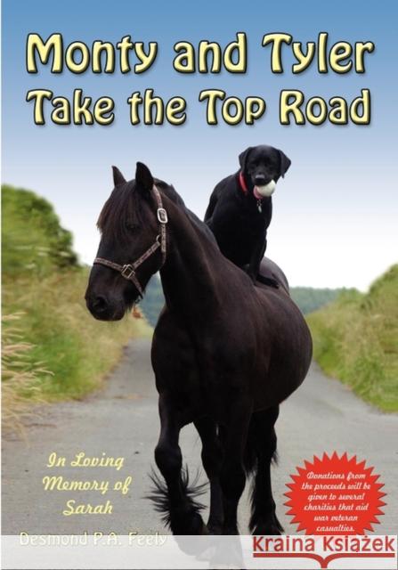 Monty and Tyler Take the Top Road Desmond P.A. Feely 9780956363503  - książka