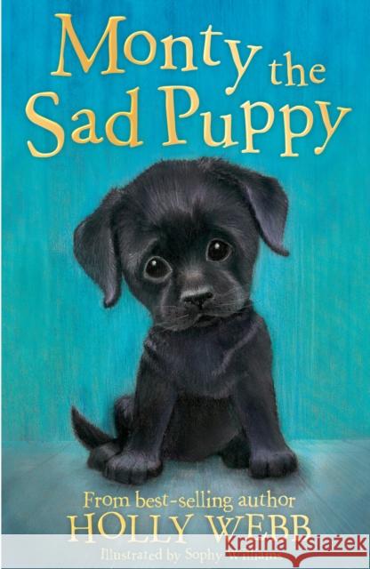 Monty the Sad Puppy Holly Webb 9781847157737 Little Tiger Press Group - książka