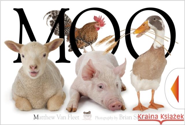 Moo Matthew Va Brian Stanton 9781442435032 Simon & Schuster - książka