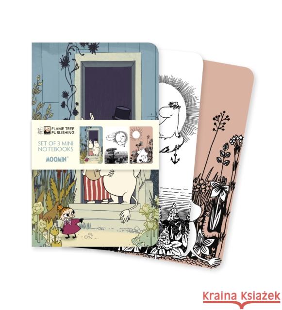 Moomin Set of 3 Mini Notebooks  9781787559189 Flame Tree Publishing - książka