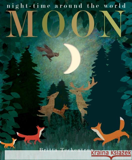 Moon: night-time around the world Patricia Hegarty 9781848696679 Little Tiger Press Group - książka