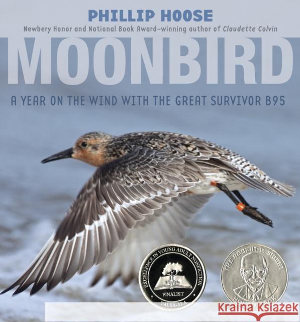 Moonbird: A Year on the Wind with the Great Survivor B95 Phillip Hoose 9780374304683 Farrar Straus Giroux - książka