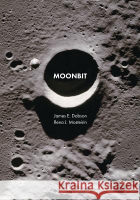 Moonbit Rena J. Mosteirin James E. Dobson 9781950192335 Punctum Books - książka