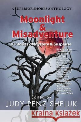 Moonlight & Misadventure: 20 Stories of Mystery & Suspense Judy Pen 9781989495391 Superior Shores Press - książka