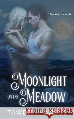 Moonlight on the Meadow Tawdra Kandle 9781542577106 Createspace Independent Publishing Platform - książka