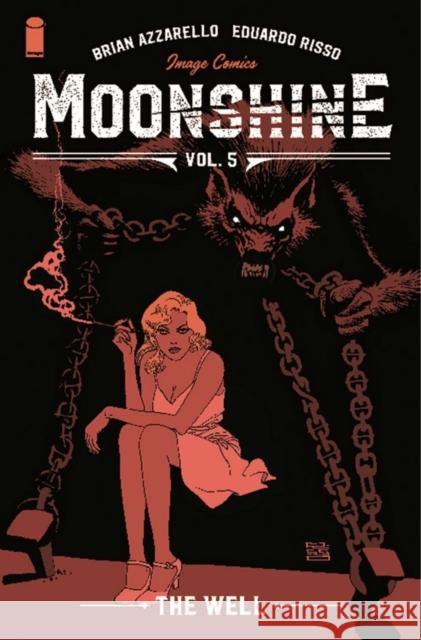 Moonshine, Volume 5: The Well Brian Azzarello Eduardo Risso 9781534319868 Image Comics - książka