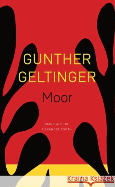 Moor Gunther Geltinger Alexander Booth 9780857428332 Seagull Books - książka