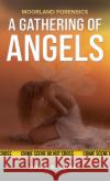 Moorland Forensics - A Gathering of Angels Julie D. Jones 9781035813278 Austin Macauley Publishers