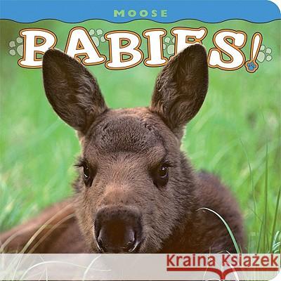 Moose Babies! Henry H. Holdsworth 9781560375081 Farcountry Press - książka