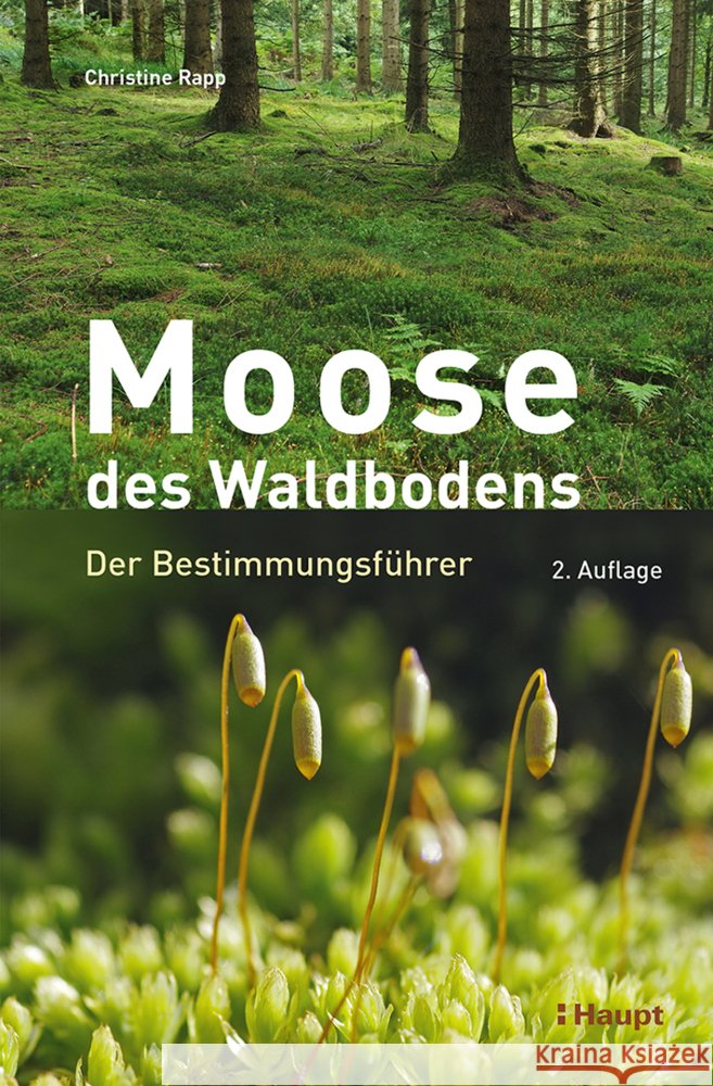 Moose des Waldbodens Rapp, Christine 9783258084541 Haupt - książka
