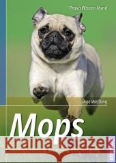 Mops : Auswahl, Haltung, Erziehung, Beschäftigung Weßling, Ing   9783440125274 Kosmos (Franckh-Kosmos) - książka