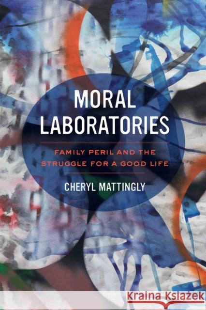 Moral Laboratories: Family Peril and the Struggle for a Good Life Mattingly, Cheryl 9780520281196 John Wiley & Sons - książka