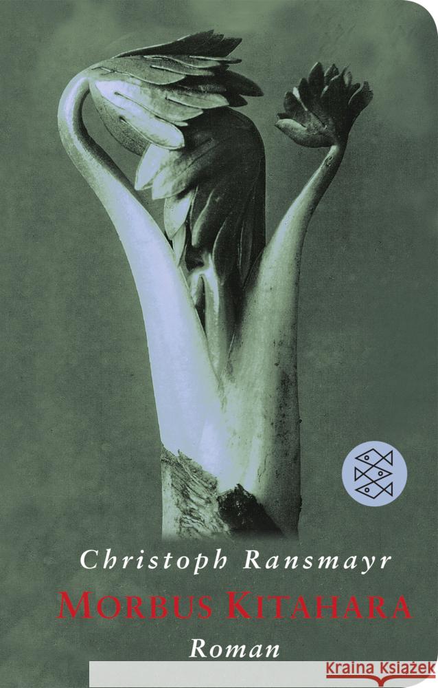 Morbus Kitahara Ransmayr, Christoph 9783596522644 FISCHER Taschenbuch - książka