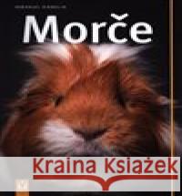 Morče Immanuel Birmelin 9788075411464 Vašut - książka