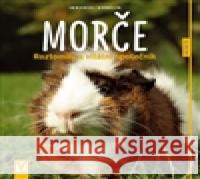 Morče - Roztomilý a vitální společník Immanuel Birmelin 9788075410177 Vašut - książka